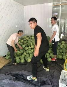 常州新北区吃瓜,瓜果飘香，品味生活新篇章