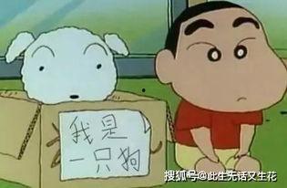 梦见偷摘两个小白瓜吃,偷摘小白瓜的奇幻之旅