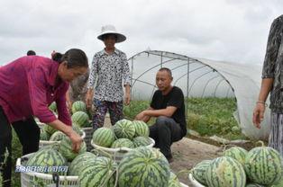 大新柏林吃瓜视频,揭秘网红美食背后的故事