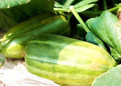 怎样吃瓜最好吃