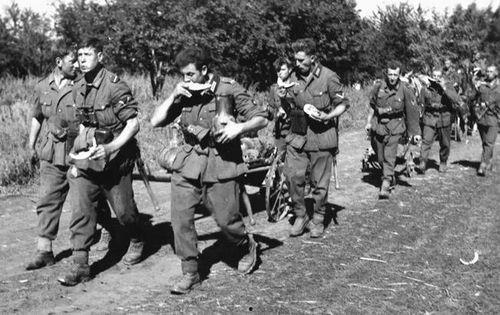 吃瓜德军是什么,网络迷因背后的军事实力与娱乐现象