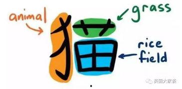吃瓜学汉字,趣味汉字学习新体验