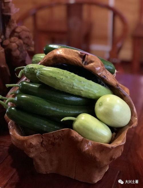 吃日本瓜的网红,吃瓜也要有新境界