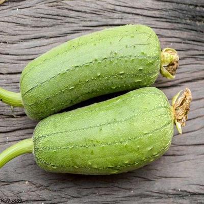 高血糖可以吃籽瓜吗,籽瓜的养生益处