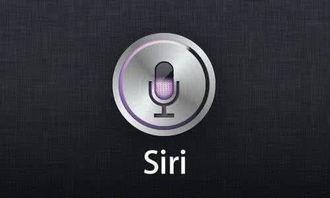 带你吃瓜siri,揭秘带你吃瓜siri背后的故事与魅力