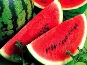 考试前吃瓜,揭秘考生心理与备考策略